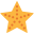 external starfish-summer-kmg-design-flat-kmg-design icon