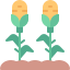 external Corn-farming-kmg-design-flat-kmg-design icon