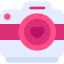 external camera-wedding-day-kmg-design-flat-kmg-design icon