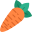 external carrot-grocery-kmg-design-flat-kmg-design icon