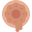 external donut-bakery-kmg-design-flat-kmg-design icon
