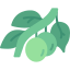 external olive-vegetables-kmg-design-flat-kmg-design icon