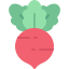 external radish-fruit-and-vegetable-kmg-design-flat-kmg-design icon