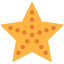 external starfish-summer-kmg-design-flat-kmg-design icon