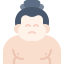 external sumo-japan-kmg-design-flat-kmg-design icon