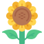 external sunflower-agriculture-kmg-design-flat-kmg-design icon