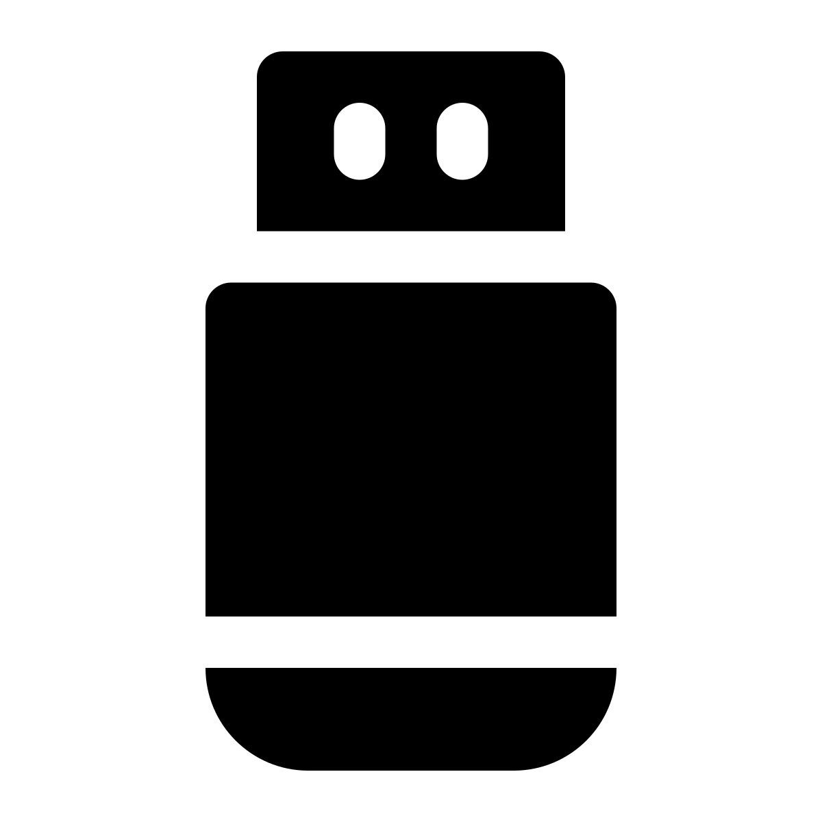 flash disk icon