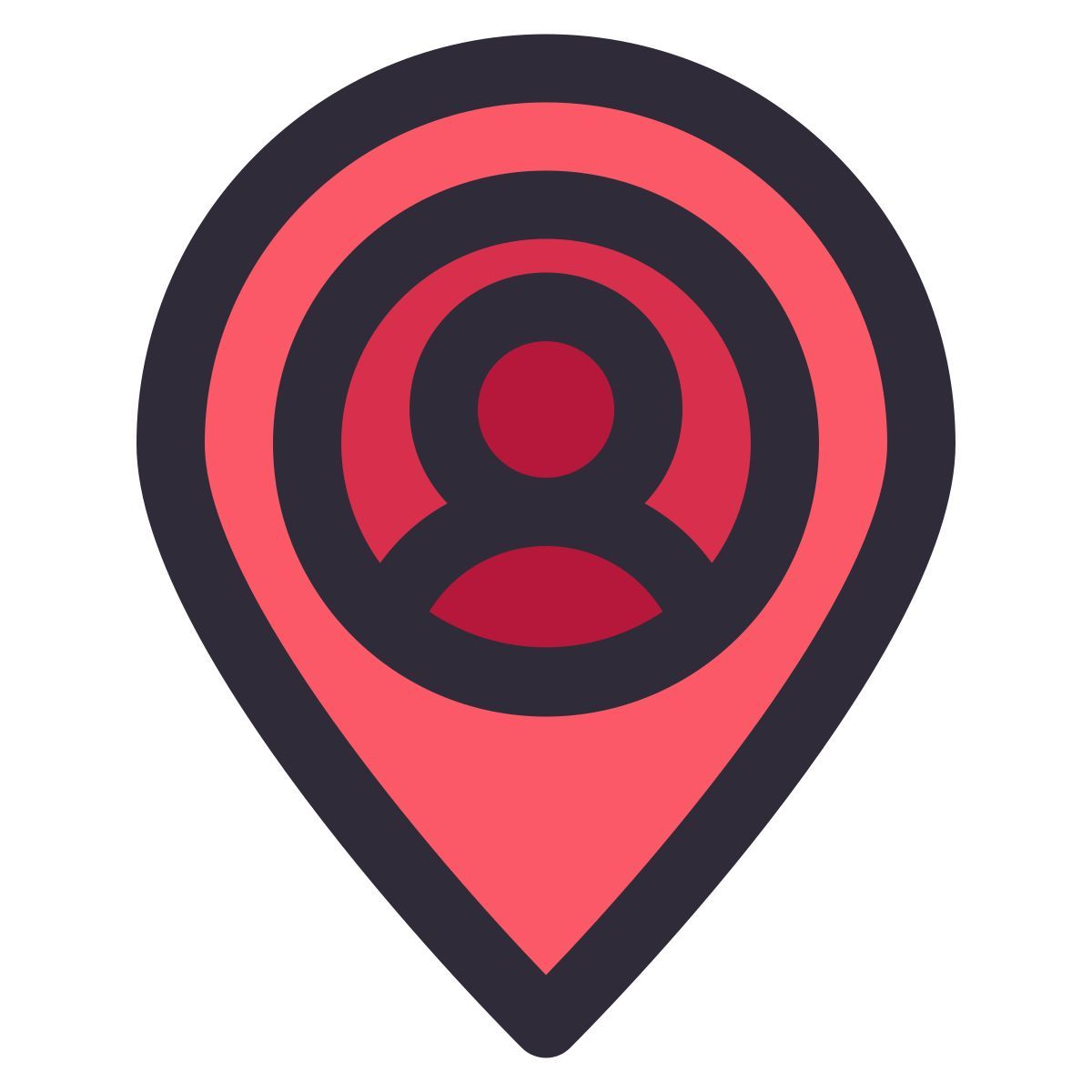 pin icon