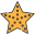 external starfish-summer-kmg-design-outline-color-kmg-design icon