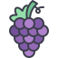 external berry-fruit-and-vegetable-kmg-design-outline-color-kmg-design icon