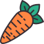 external carrot-grocery-kmg-design-outline-color-kmg-design icon