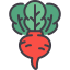 external radish-vegetables-kmg-design-outline-color-kmg-design icon