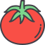 external tomato-vegetables-kmg-design-outline-color-kmg-design icon