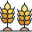 external wheat-agriculture-kmg-design-outline-color-kmg-design icon