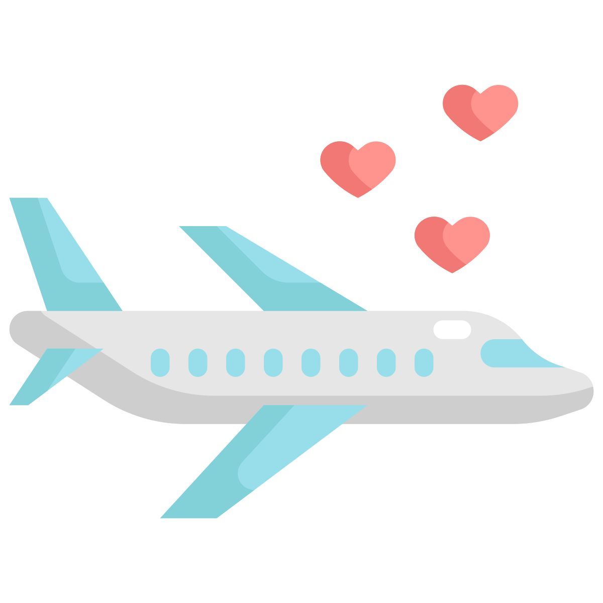 airplane icon
