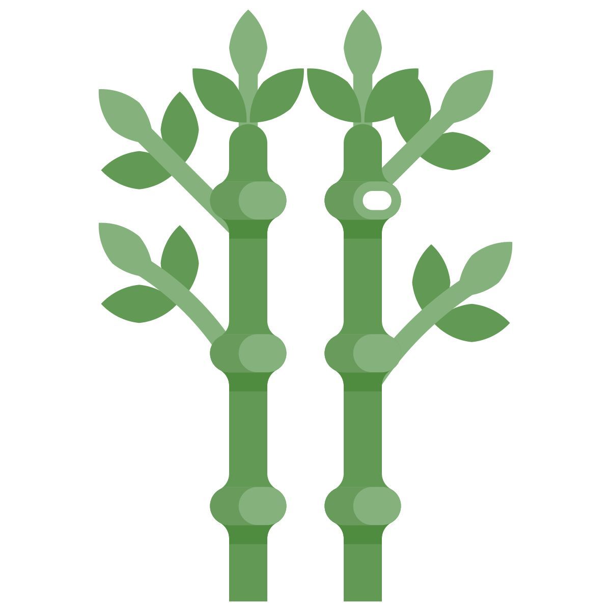 bamboo icon