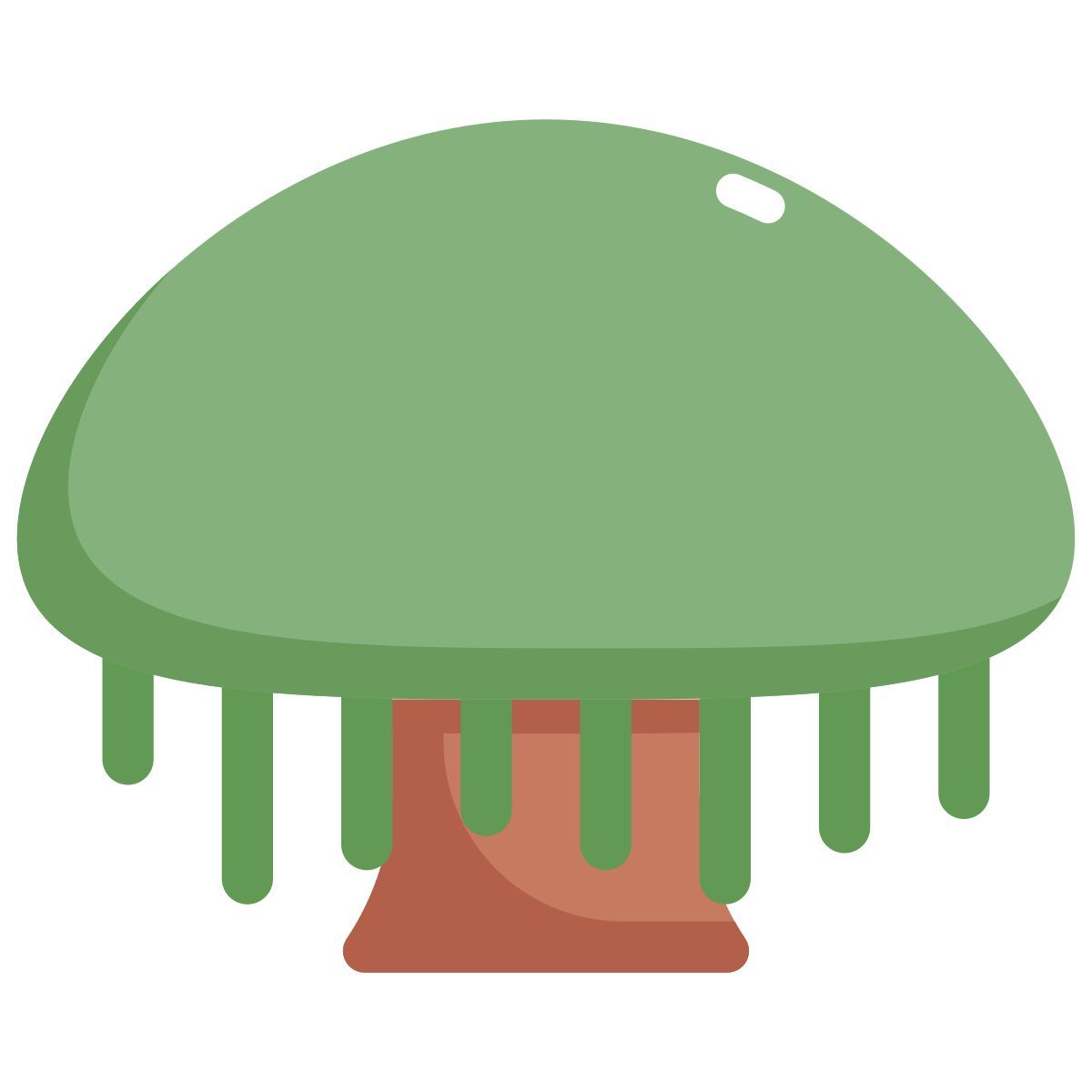 banyan tree icon