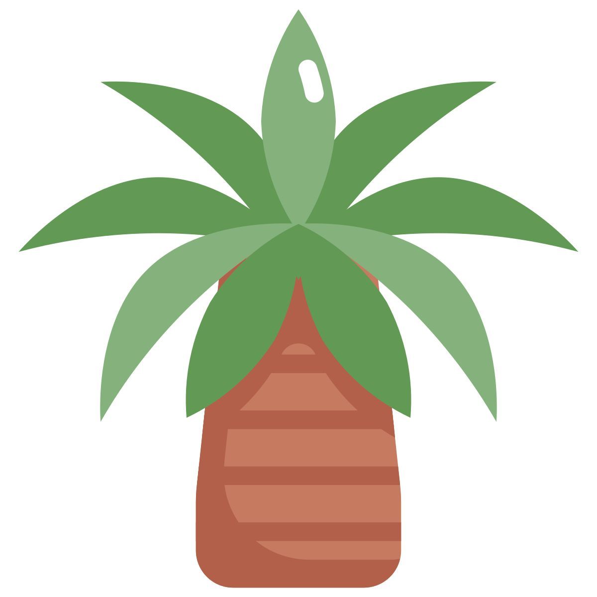 palm tree icon