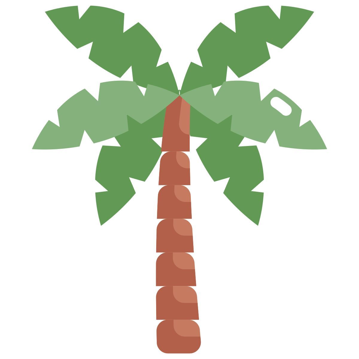 palm tree icon