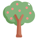 external fruit-tree-tree-konkapp-flat-konkapp icon