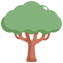 external tree-tree-konkapp-flat-konkapp-2 icon