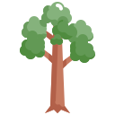 external tree-tree-konkapp-flat-konkapp-5 icon