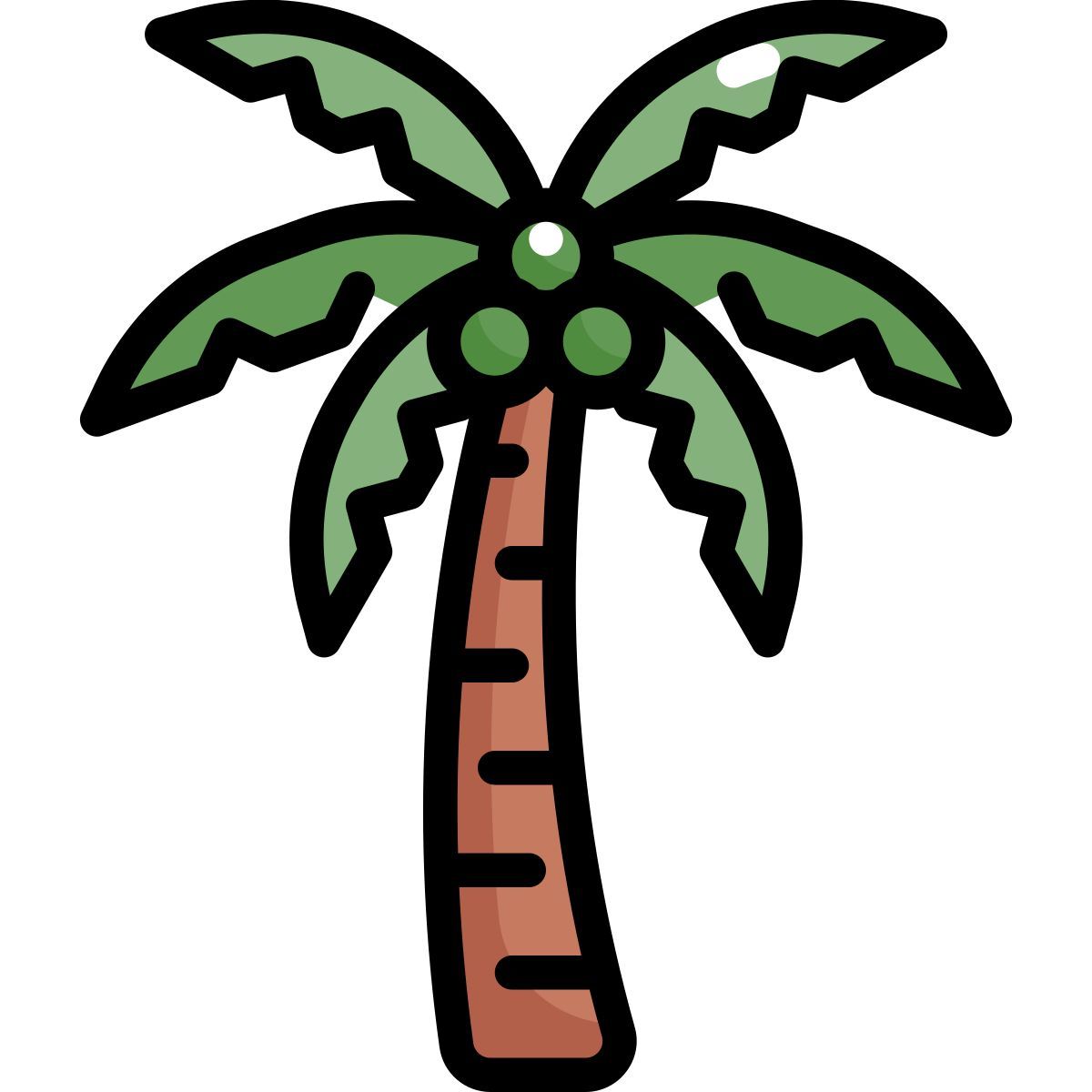 coconut tree icon