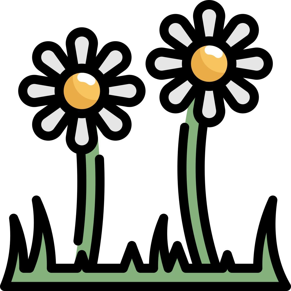 daisy icon