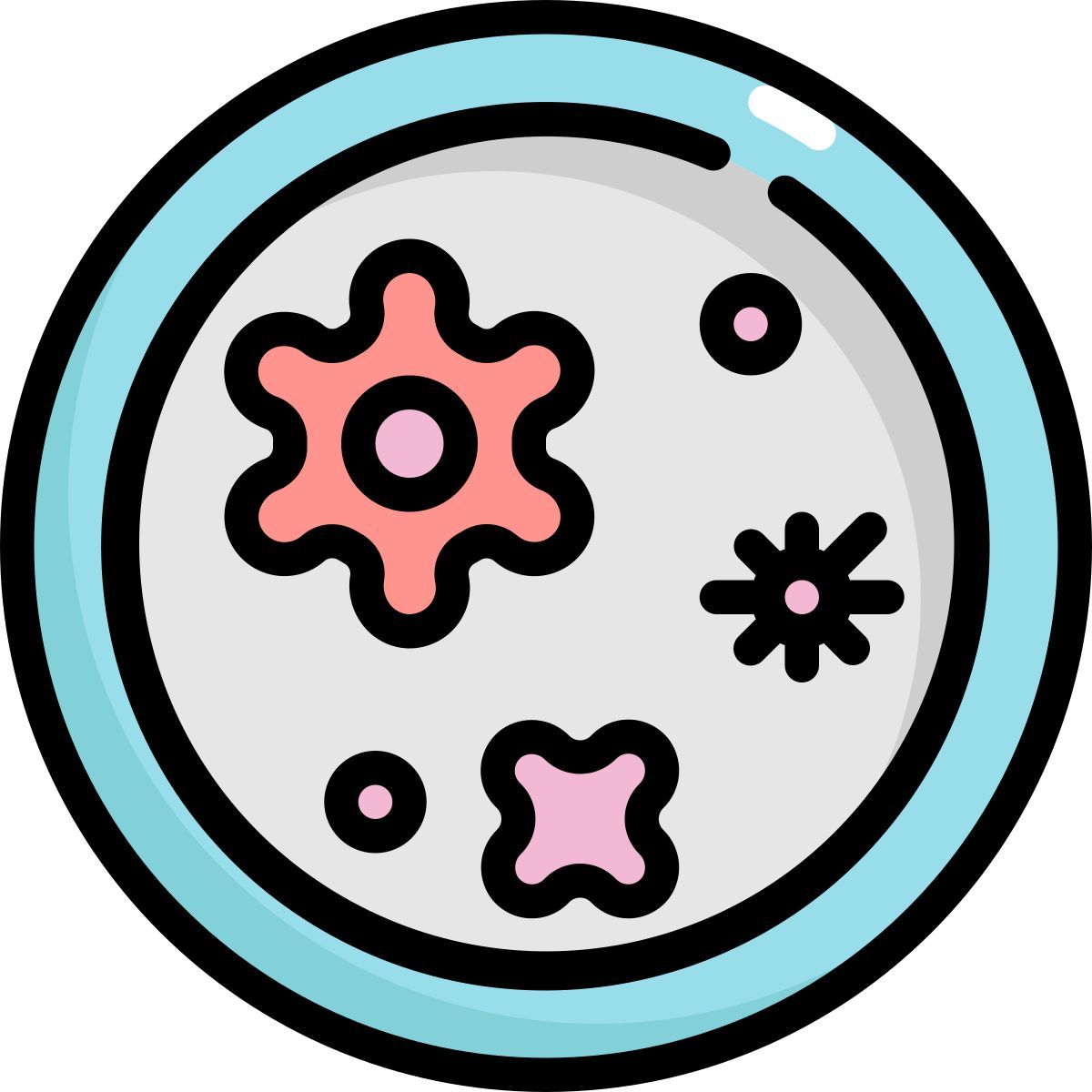 petri dish icon