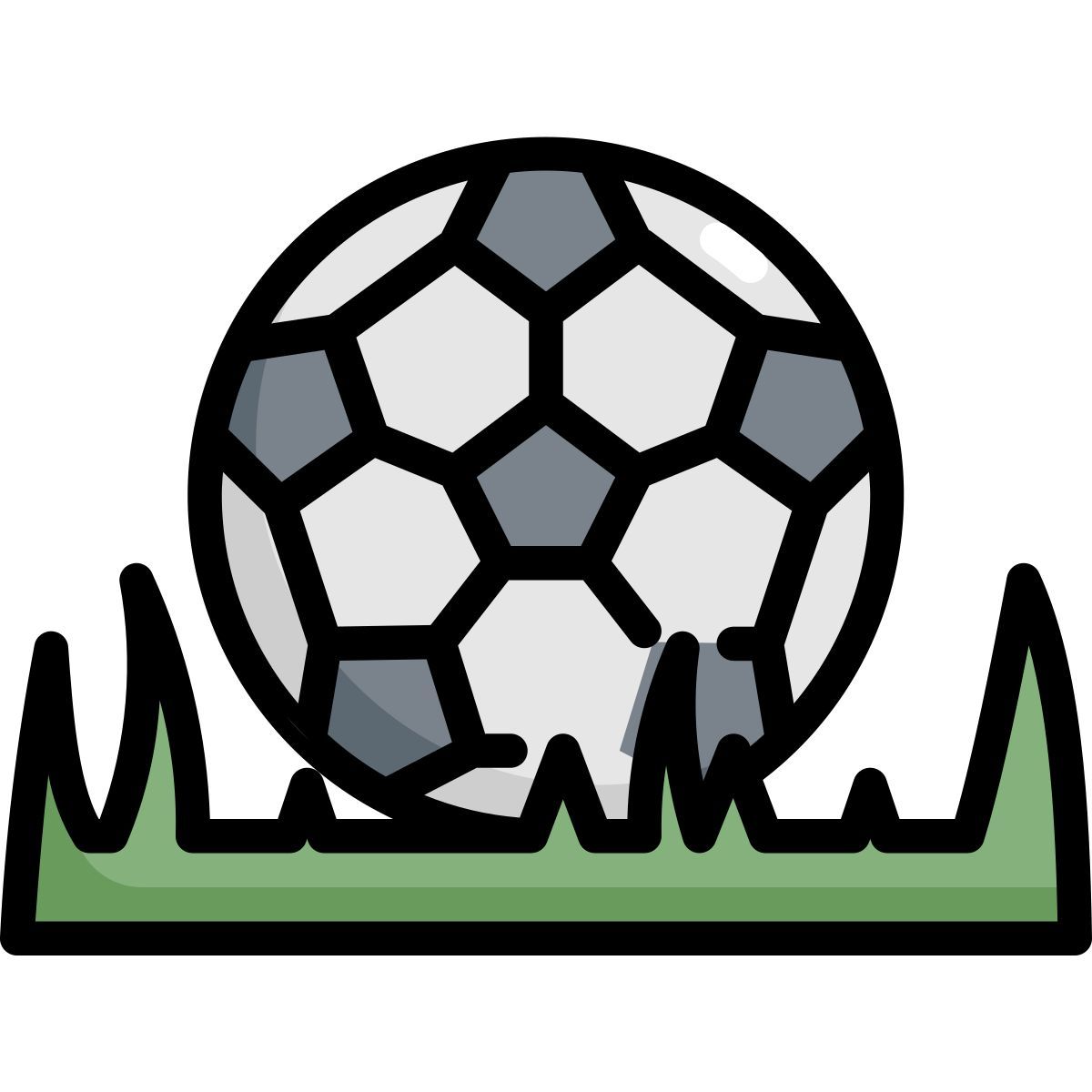 soccer icon