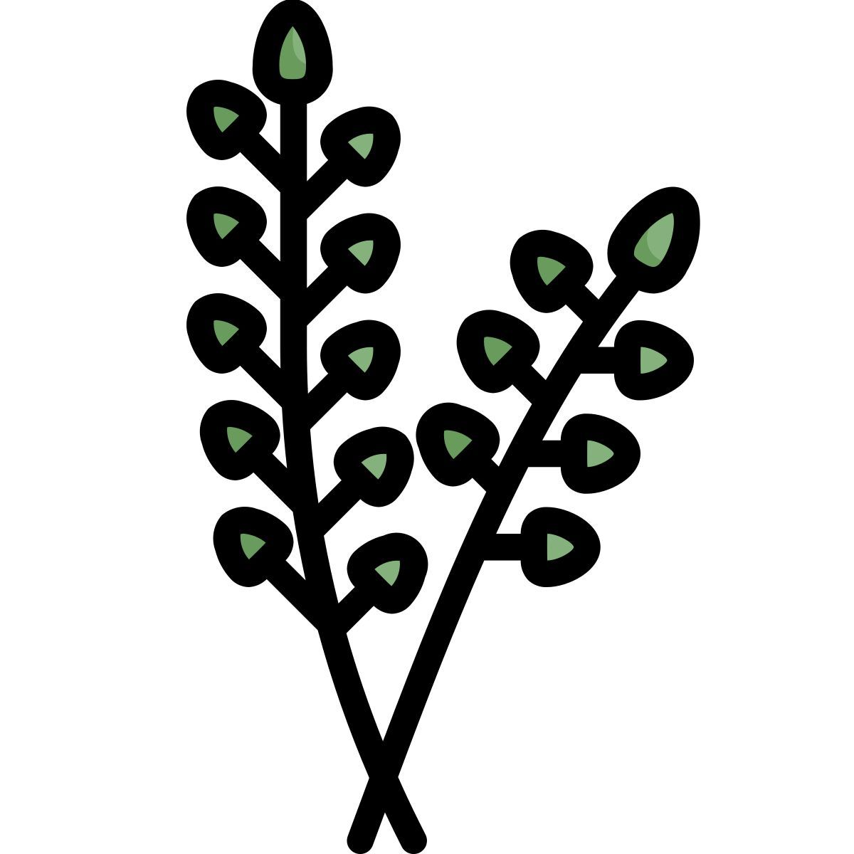 willow icon