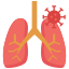 external lungs-covid19-coronavirus-kosonicon-flat-kosonicon icon