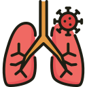 external lungs-covid19-coronavirus-kosonicon-lineal-color-kosonicon icon