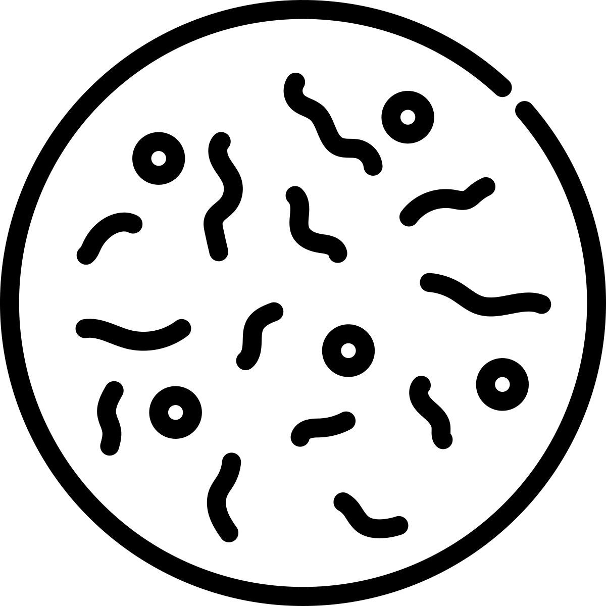 microbiologie icon