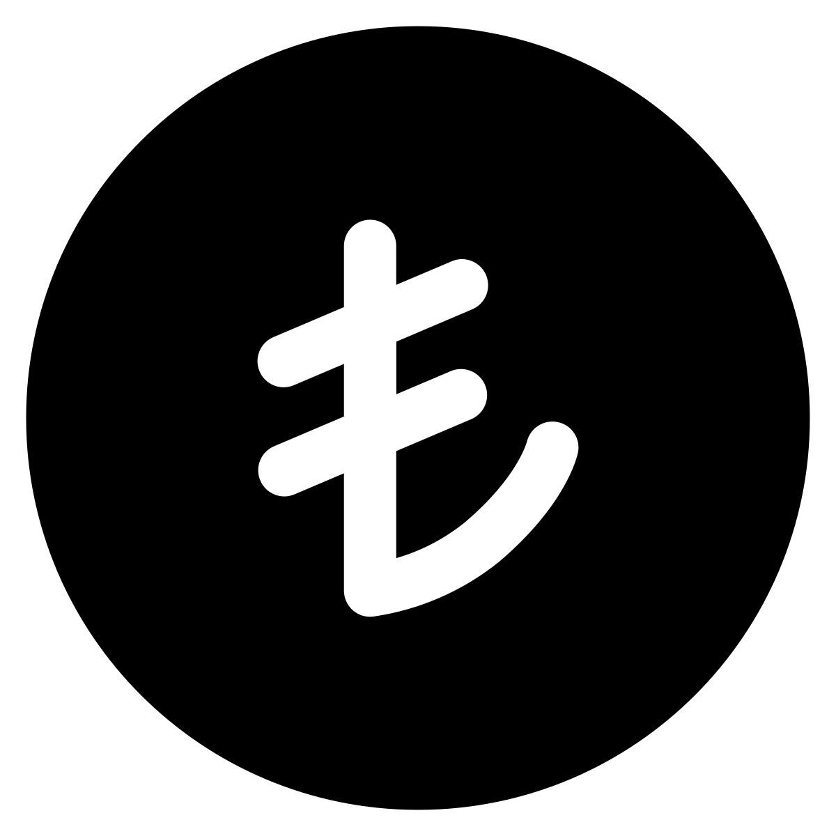 turkish lira icon