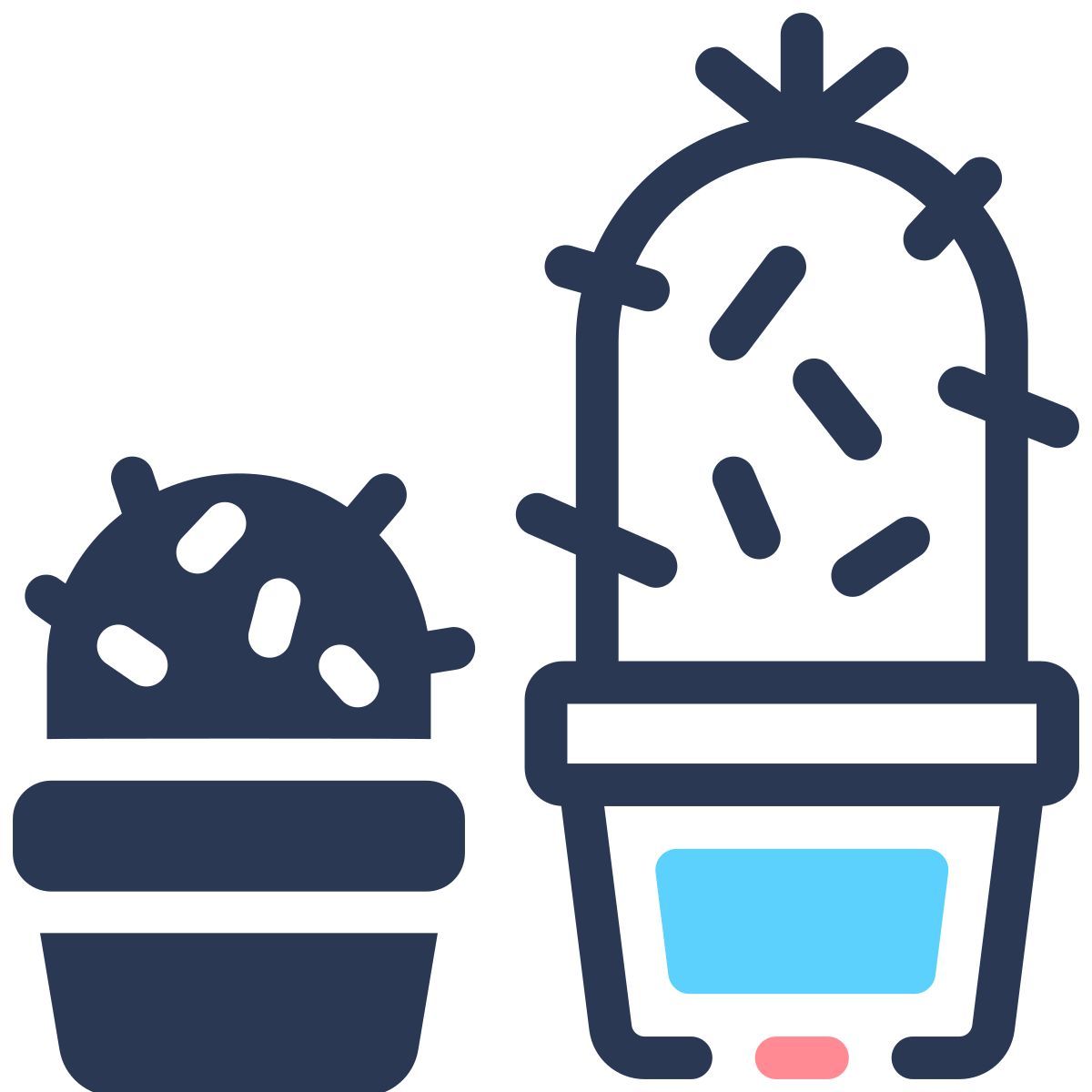 cactus icon