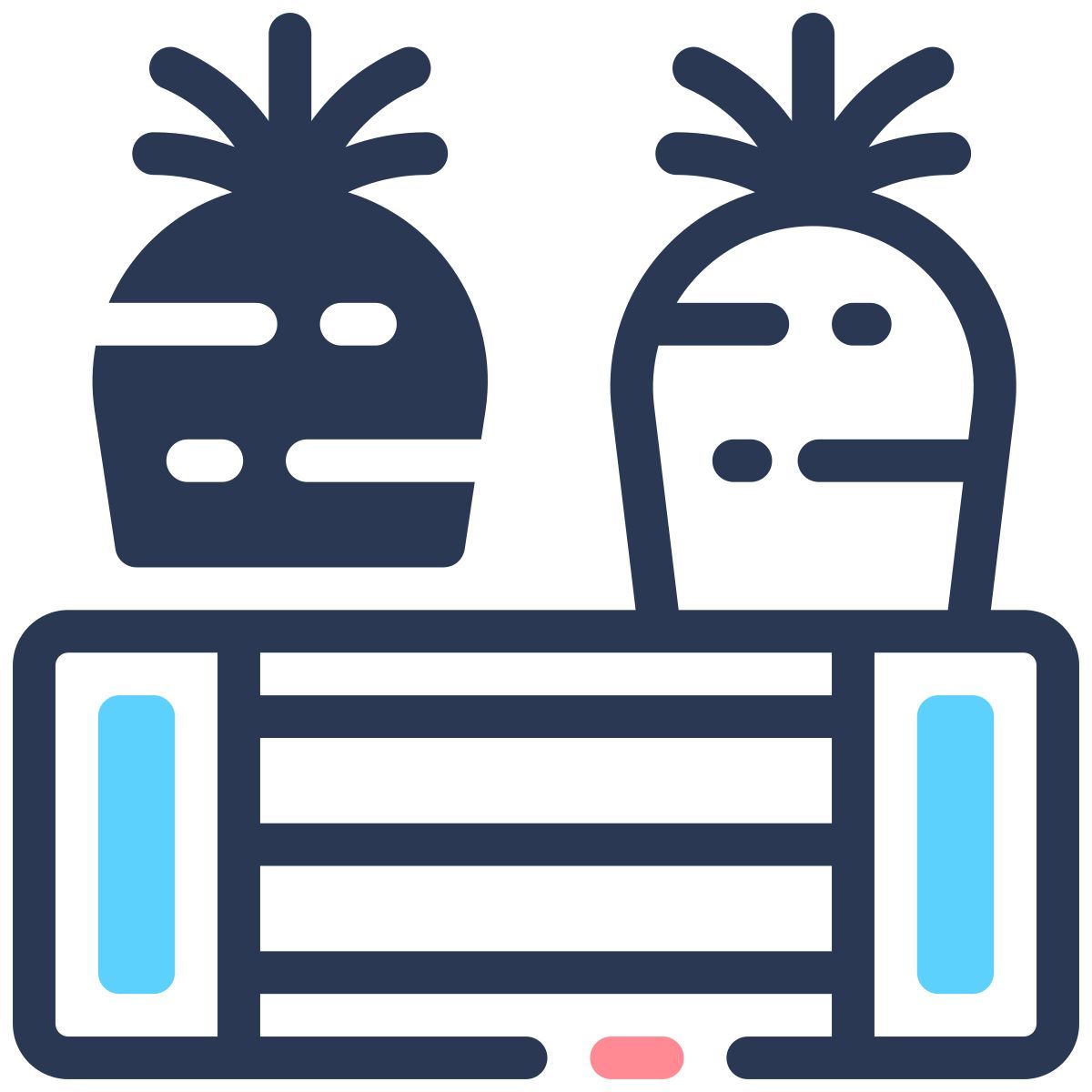 carrots icon