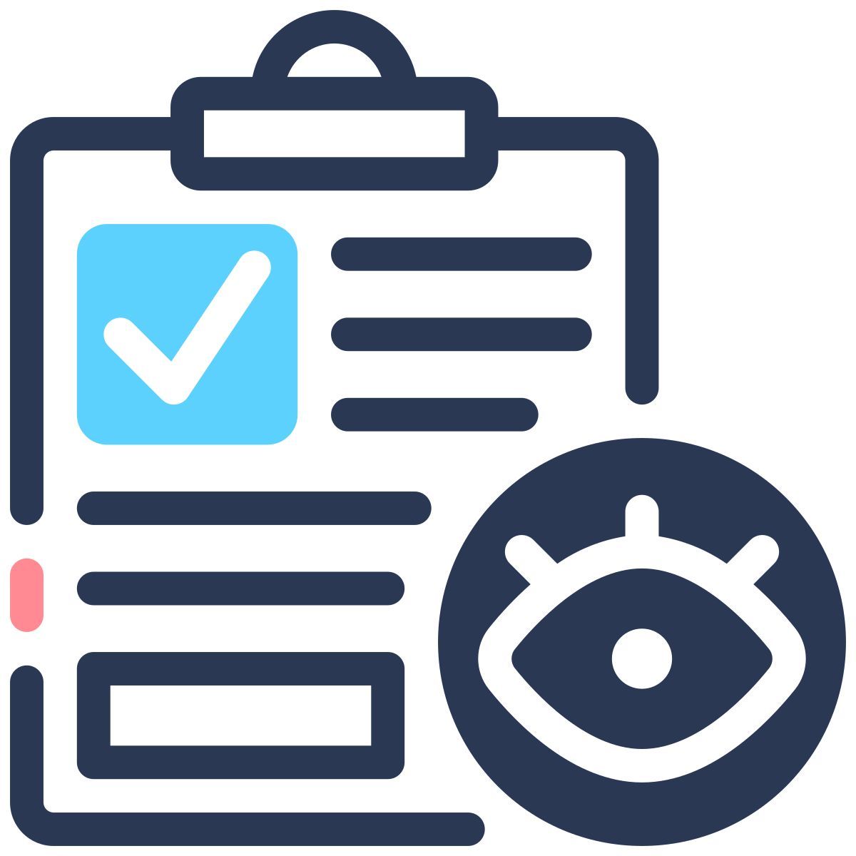 inspection icon