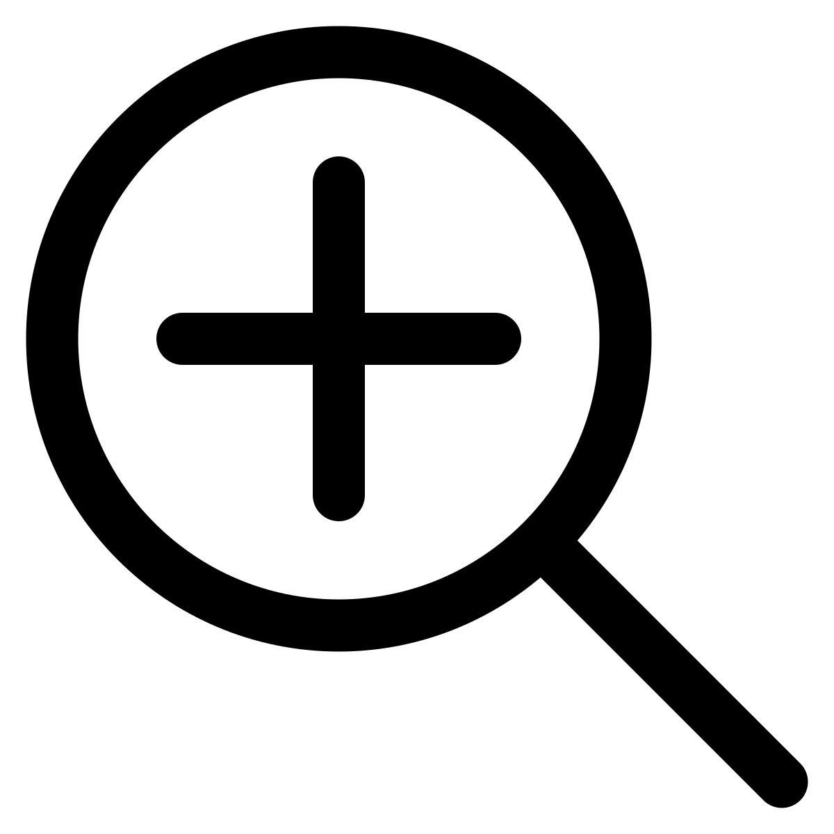 magnifier icon