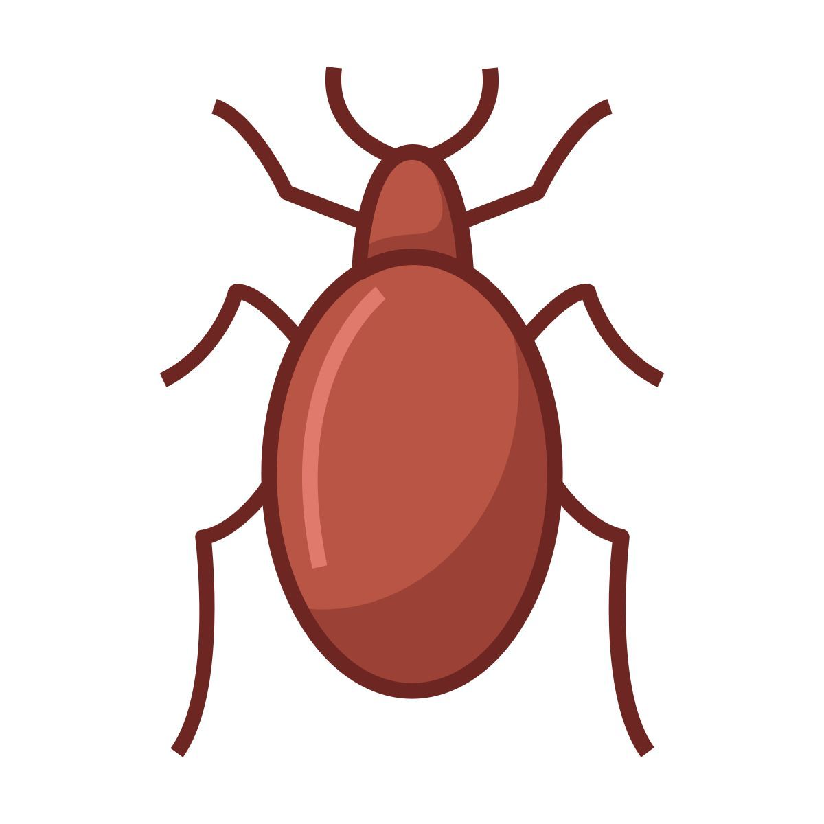 bed bug icon