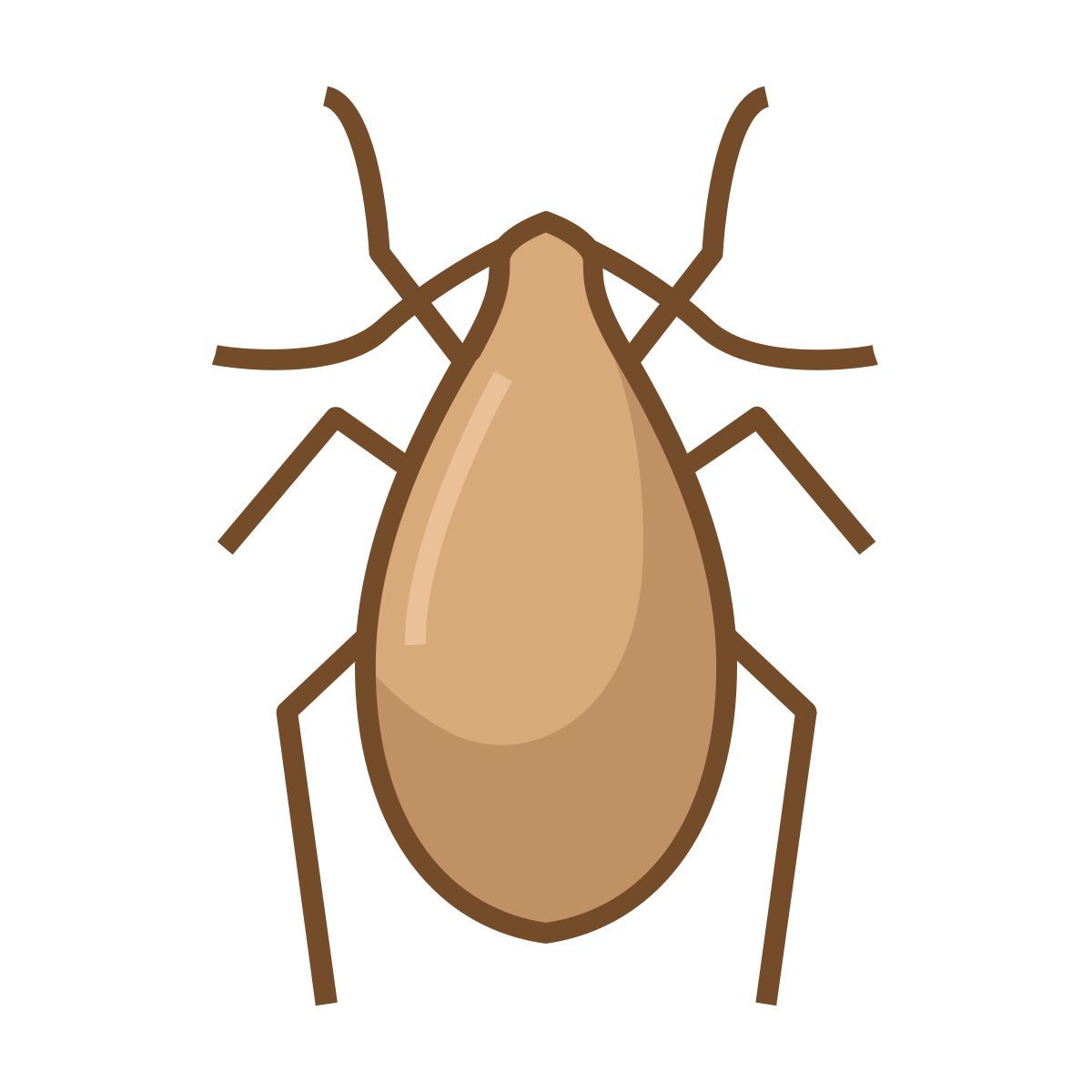 bed bug icon