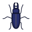 external beetle-bugs-color-version-line-colors-royyan-wijaya-4 icon