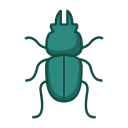external beetle-bugs-color-version-line-colors-royyan-wijaya-3 icon