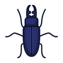 external beetle-bugs-color-version-line-colors-royyan-wijaya-4 icon