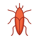 external beetle-bugs-color-version-line-colors-royyan-wijaya icon