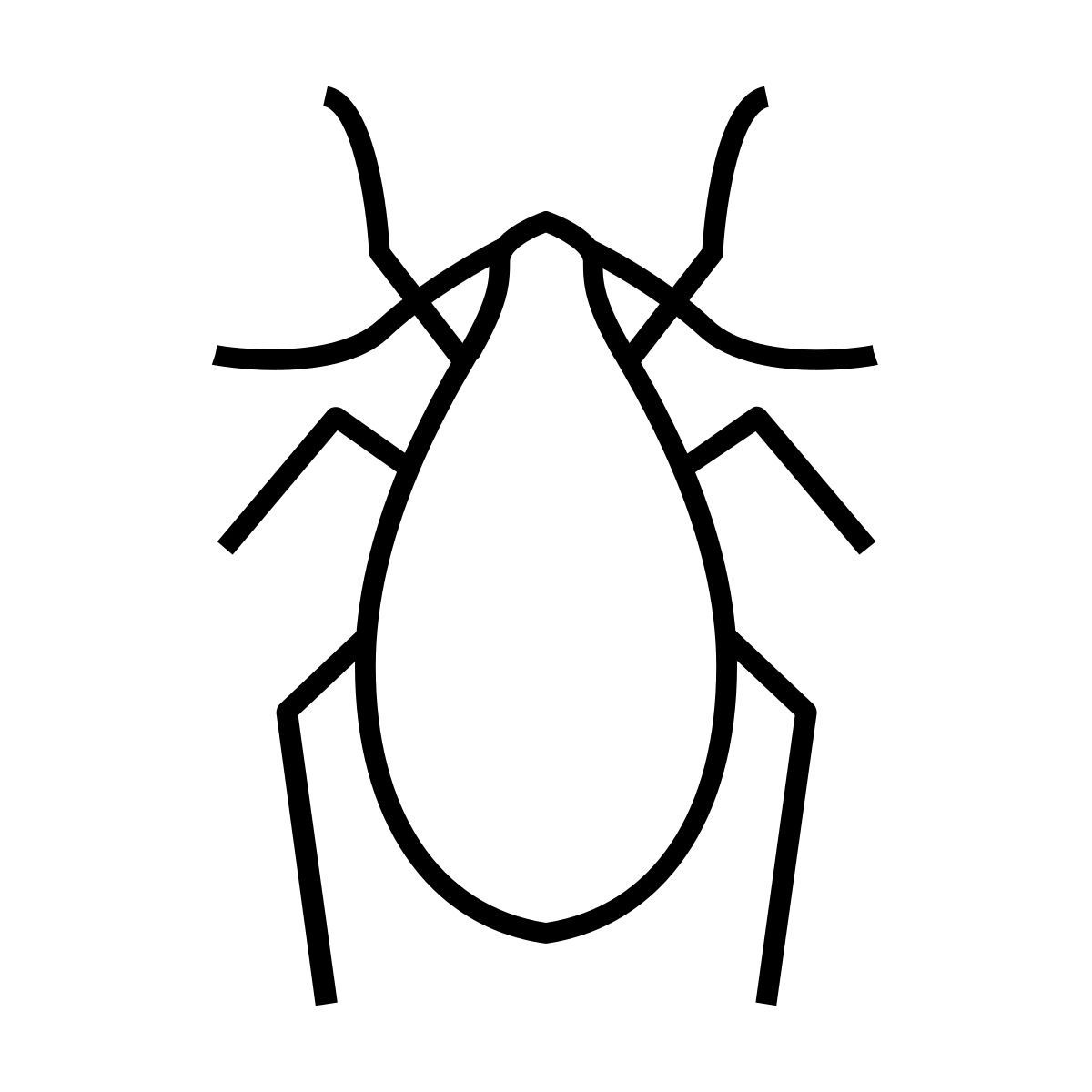 beetle icon