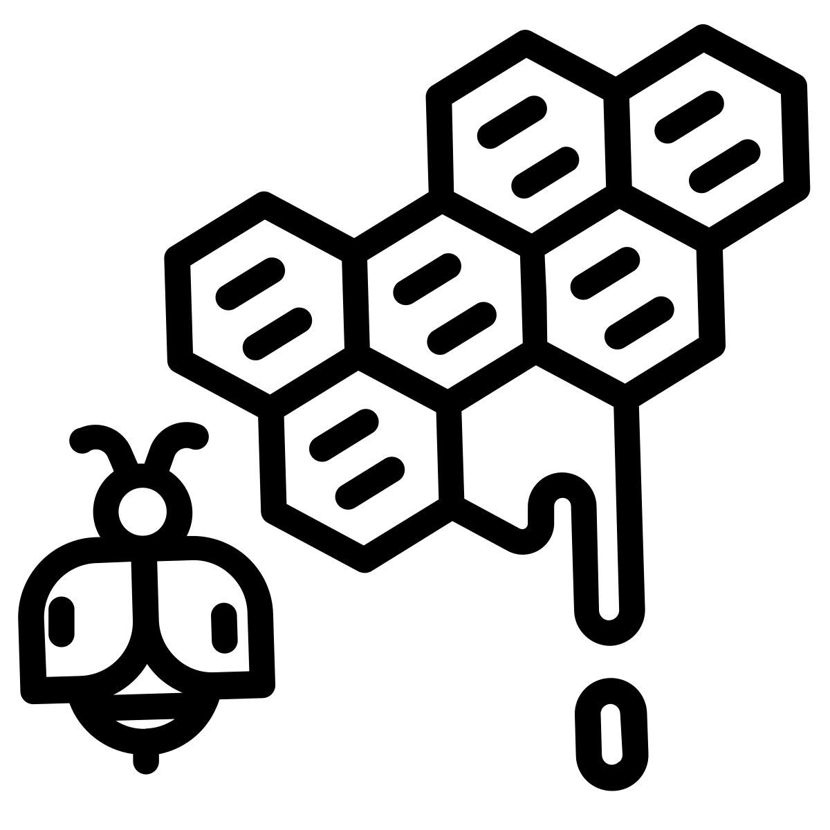 honeycombs icon