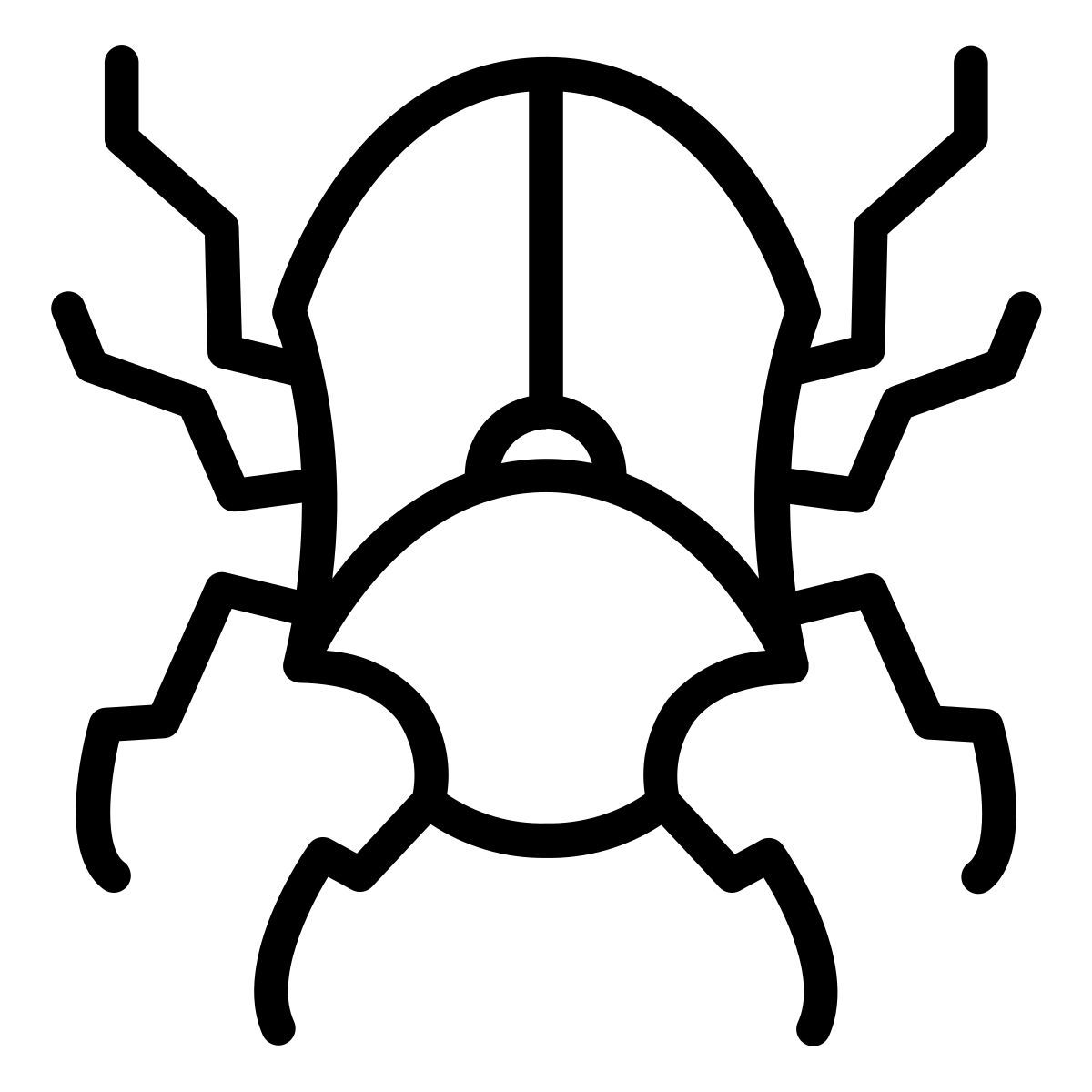 beetle icon