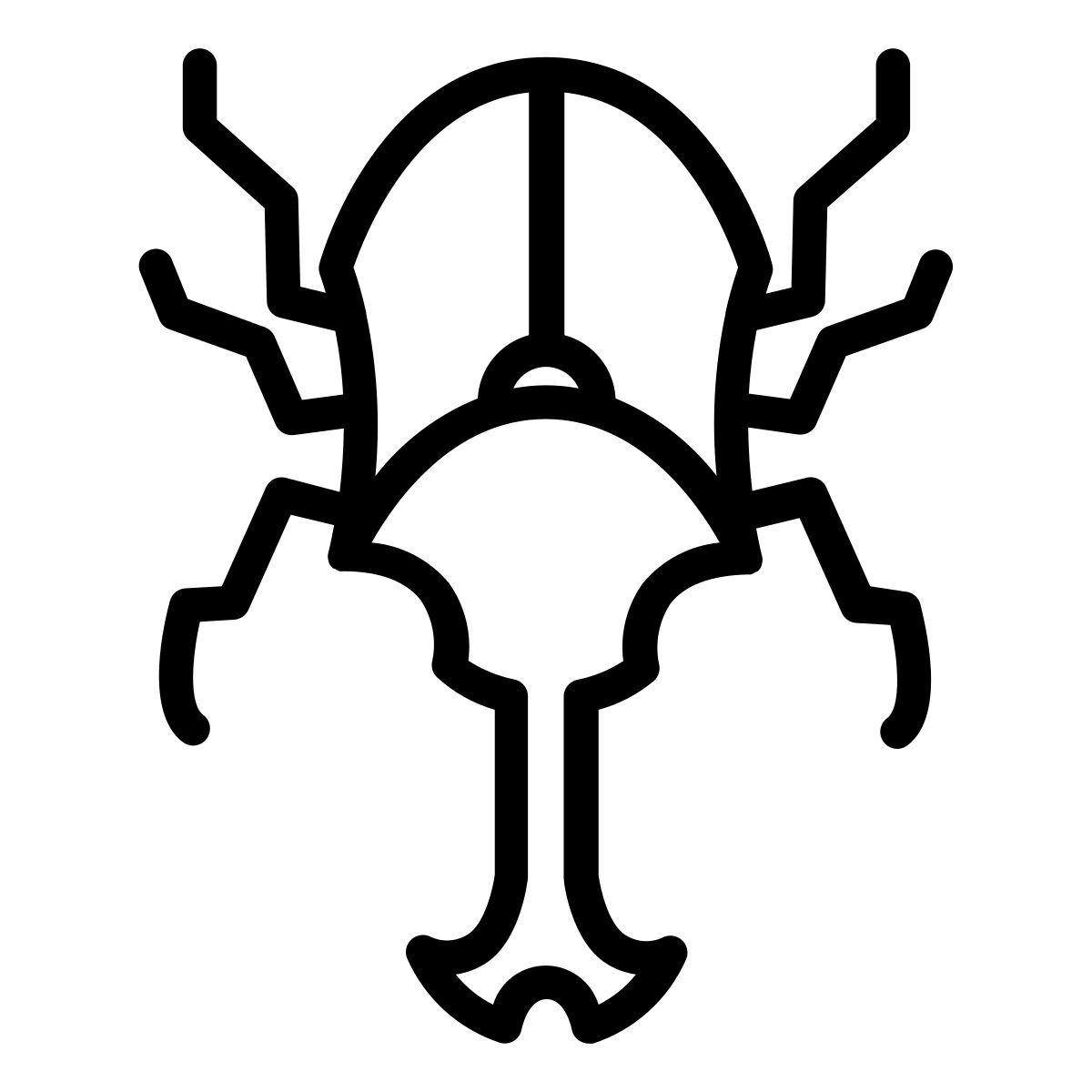 beetle icon