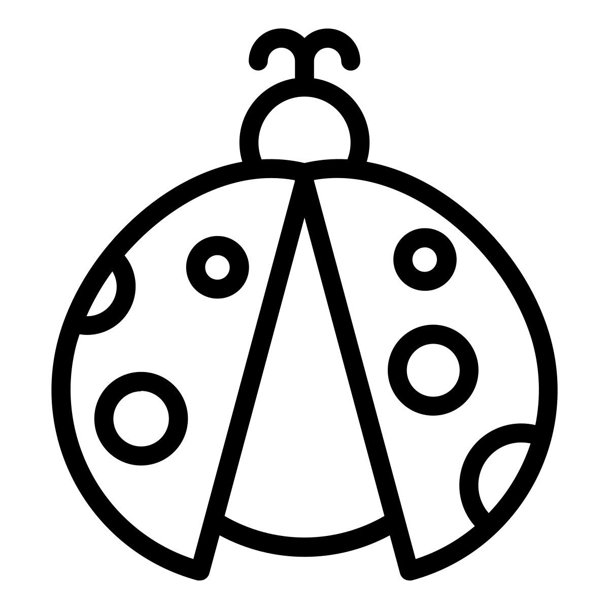 Coccinella icon